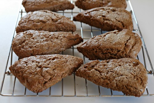 gingerbread-scone