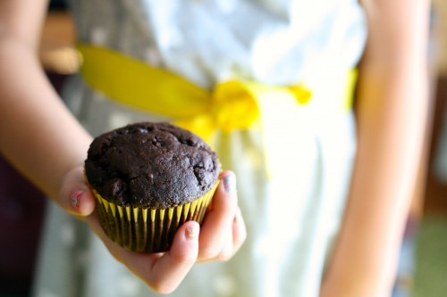 Chocolate Chocolate Chip Zucchini Muffins