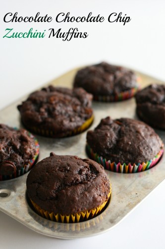 Chocolate Chocolate Chip Zucchini Muffins