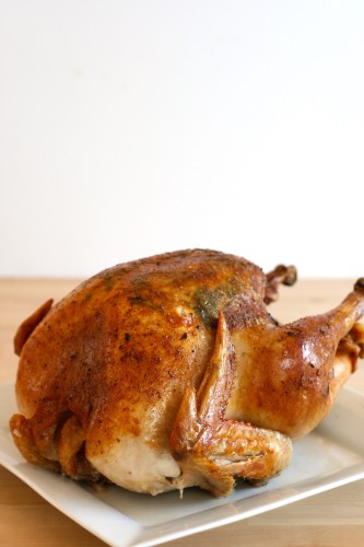 Roasted Turkey