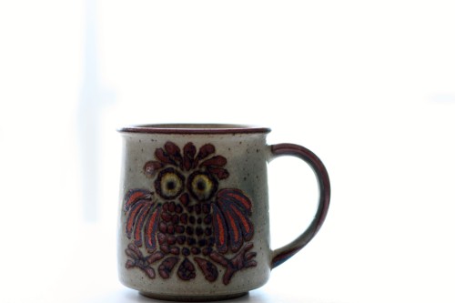 Owl Coffee Cup