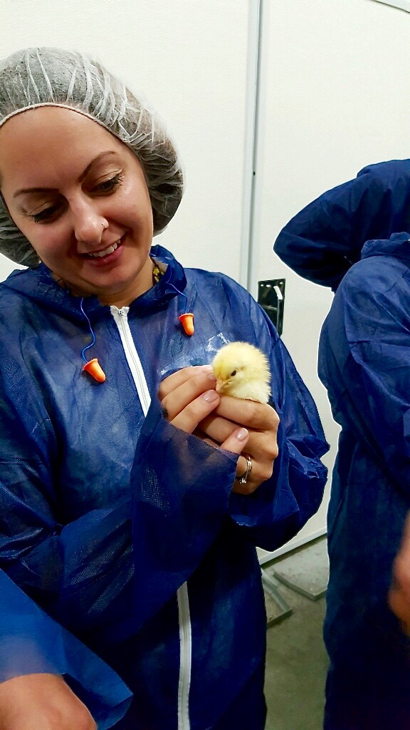 Hatchery in North Carolina